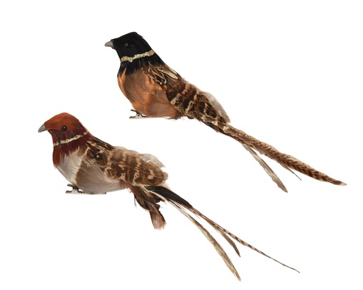 Vogel auf Clip