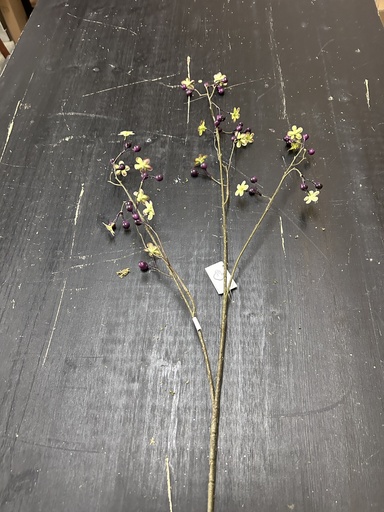 [P0003781] Blütenbeerenzweig