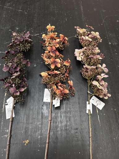 Rispenhortensie 89 cm