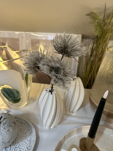 [P0000262] Clematisblüte