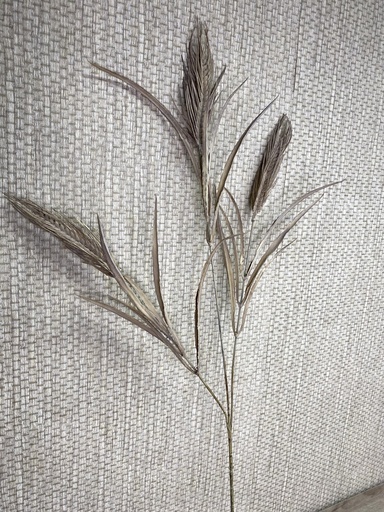 [P0000273] Getreide 3 "Blüten"