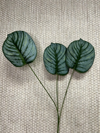 [P0000297] Blatt (3 am Stängel)